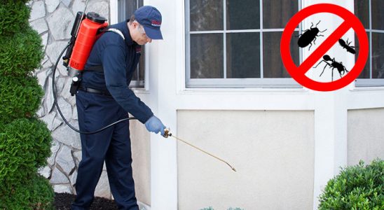 Patnos Kemirgen İlaçlama böcek ilaçlama ve haşere kontrolü — ilaclama-tr.com